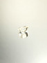 Prasioliitti 2,5 ct ovaali