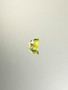 Peridootti 0,6 ct pisara
