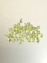 Peridot lot ( 3 - 2 mm) round
