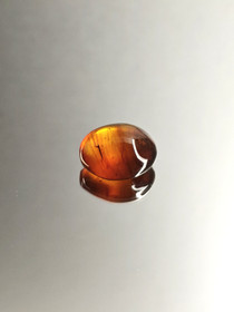 Itä-meren Meripihka 6.2 ct ovaali