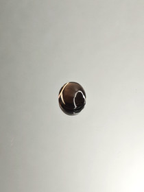 Savukvartsi 2,7 ct, ovaali
