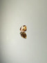 Zircon 2 ct oval