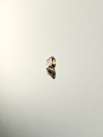 Smoky Quartz 0,2 ct pear