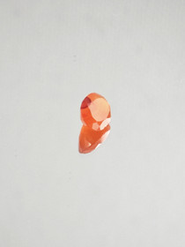 Chalcedony \ Carnelian 1 ct oval