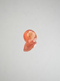 Chalcedony \ Carnelian 3,4 ct oval