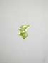 Peridot 1 ct princess