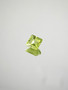 Peridot 1 ct princess