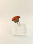 Vintage Baltic Amber silver ring