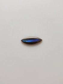 Labradoriitti 2,9 ct markiisi
