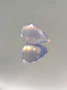 rose quartz 16,2 ct
