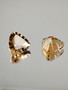 Citrine pair 13 x 8 mm \ 2 x 6,5 ct triangle