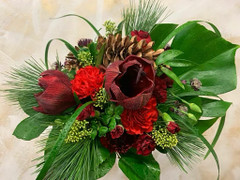 Matala amarylliskimppu