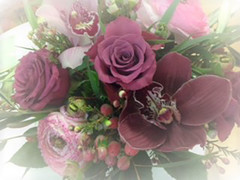 Lila-vaaleanpunainen