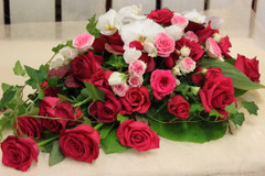 Surulaite (tuote #411)