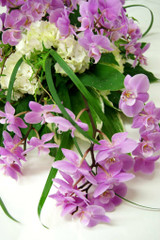 Surulaite (tuote #412)