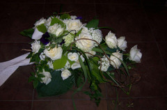 Surulaite (tuote #415)