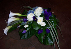 Surulaite (tuote #416)