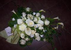 Surulaite (tuote #418)