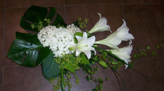 Surulaite (tuote #419)