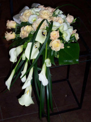 Surulaite (tuote #421)