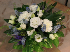 Surukimppu (tuote #443