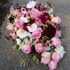 Surulaite ( tuote #427)