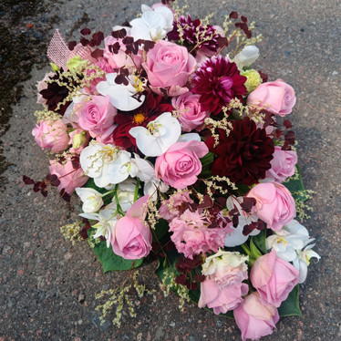 Surulaite ( tuote #427)