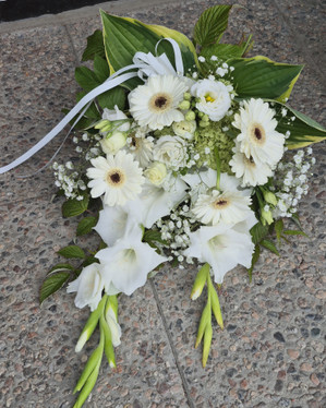 Surukimppu (tuote 444)