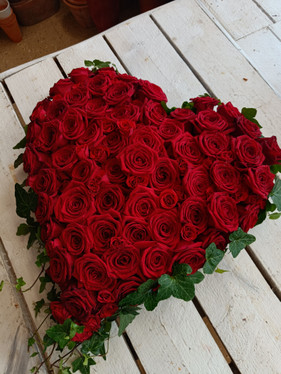 Surusydämet ( tuote #476)