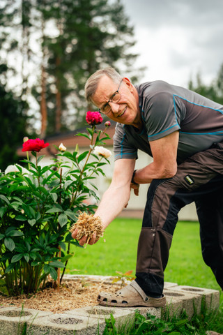*Kiteen Mato ja Mullan Kateaine, sisältäen rahdin