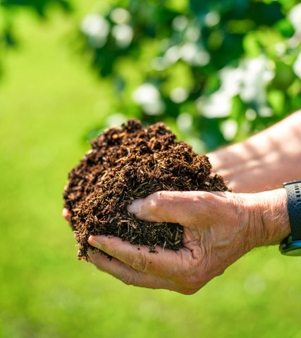 *Kiteen Mato ja Mullan Kasvualausta, sisältäen rahdin