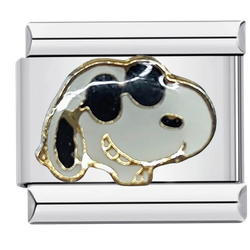 Snoopy aurinkolaseilla