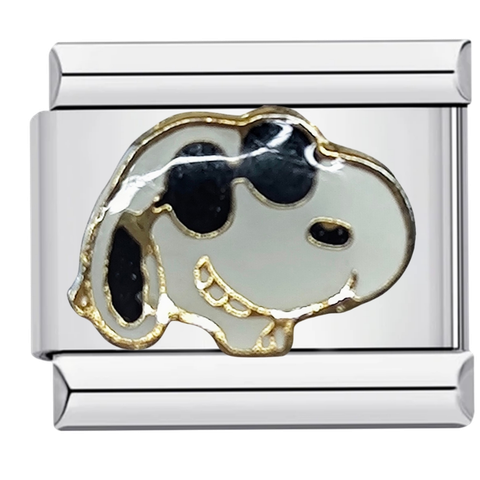 Snoopy aurinkolaseilla