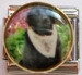 Labradorinnoutaja