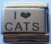 I love cats
