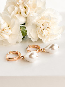 Pisara rengaskorvakorut  