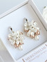 Emily - Rose Gold/ silver korvakorut 