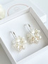 Evelyn silver korvakorut 