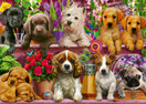Puppies on the shelf, 500 palaa