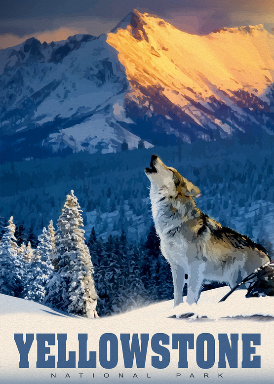 Yellowstone Wolf, 500 bitar