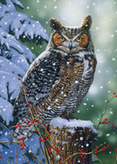 Silent Watch, 500 palaa