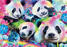 Sheena Pike: Neon Flower Pandas, 1000 palaa
