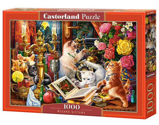 Wizard Kittens, 1000 palaa