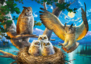 Owl Family, 500 palaa