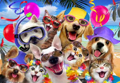 Selfie Beach Party, 1000 palaa