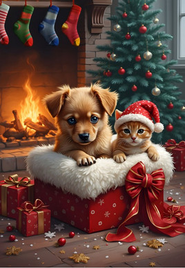 The Perfect Present, 1000 palaa