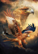 Eagle Sky, 1000 palaa