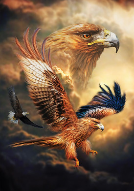 Eagle Sky, 1000 palaa