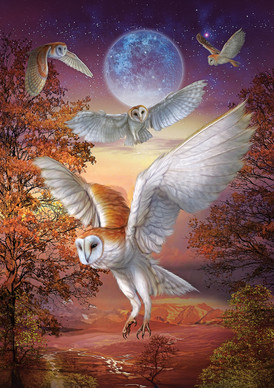 Moonlight Owls, 1000 palaa
