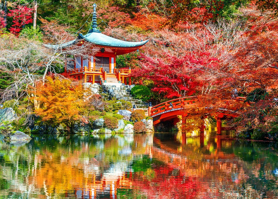 Temple Daigo-ji en Automne, Kyoto, 500 palaa